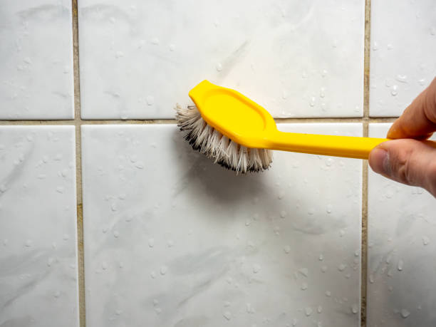 Office Mold Removal Services in Grafton, OH
