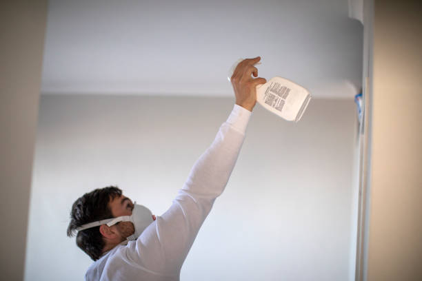 Best Office Mold Removal Services  in Grafton, OH