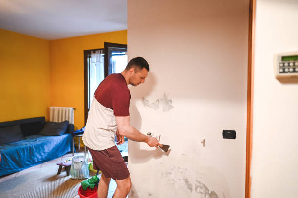 Best Attic Mold Removal  in Grafton, OH